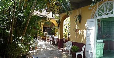 Jardin