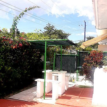 Patio trasero