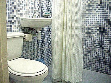 Ba&ntilde;o, inodoro