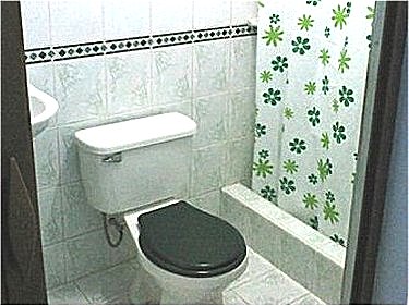 Ba&ntilde;o 1 