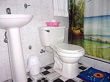 Ba&ntilde;o 3